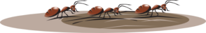 Three Ants Walking Clip Art